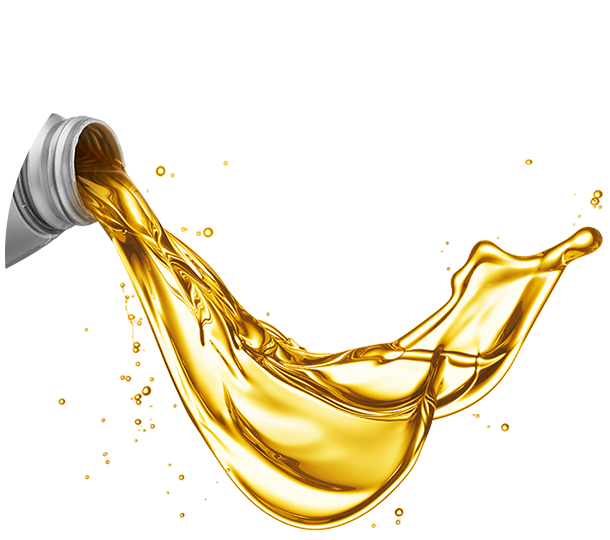 Engine Flush Auckland, Christchurch, Hamilton & NZ Wide