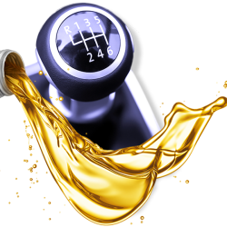 manual-trans-service manual-trans-service